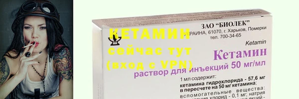 прущие грибы Беломорск