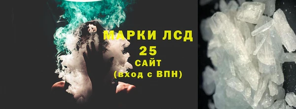 прущие грибы Беломорск