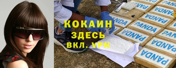 прущие грибы Беломорск