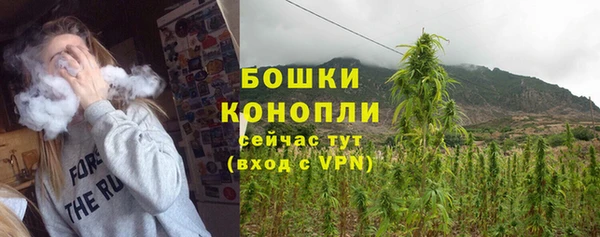 прущие грибы Беломорск