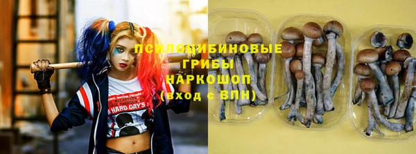 прущая мука Белокуриха